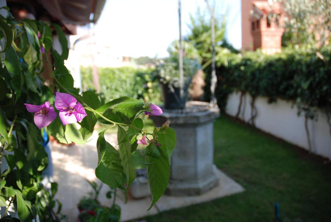 B&B Sea Joy Rovinj Extérieur photo